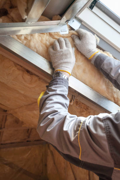 Best Residential Insulation in Dunlap, IA